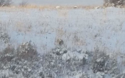 20161201_081024.jpg