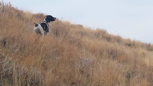 20161126_123409-1.jpg 20161126_123409-1.jpg