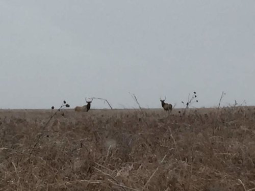 IMG_1227.jpg