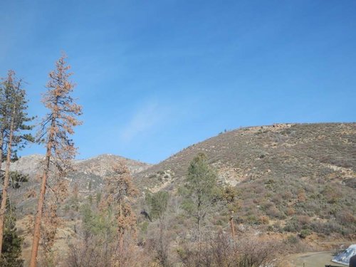 DSCN4259.jpg DSCN4259.jpg