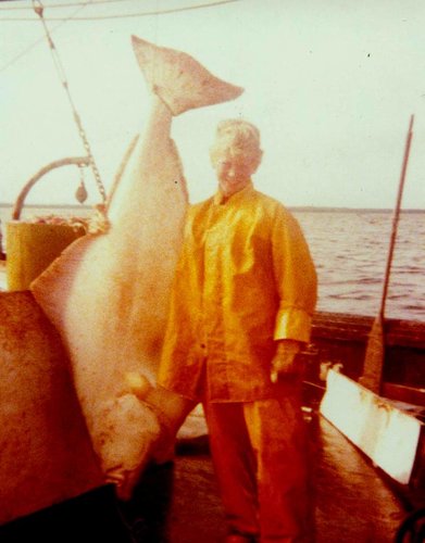 Randy AK halibut 1977.jpg