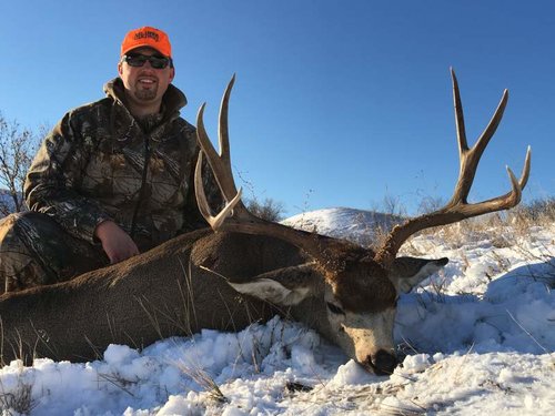 Mule Deer 2016.jpg