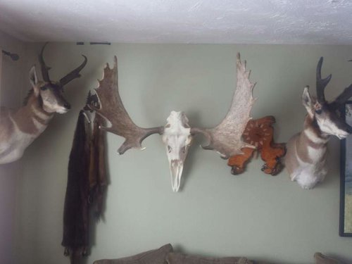 20161231_130055.jpg 20161231_130055.jpg