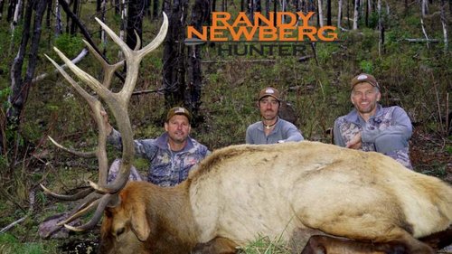 NM Elk 2015.jpg NM Elk 2015.jpg