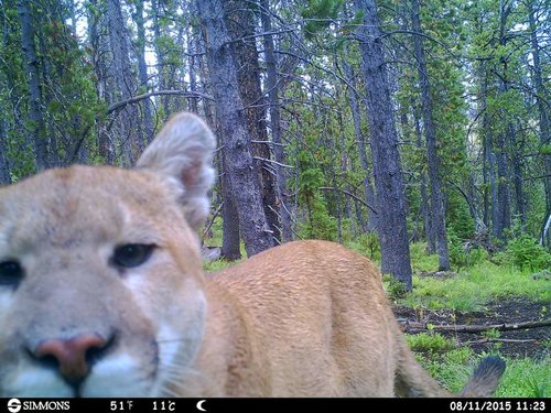 HUNT0140.jpg HUNT0140.jpg