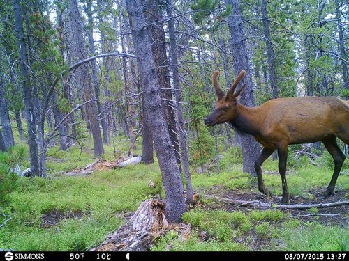 HUNT0132.jpg HUNT0132.jpg