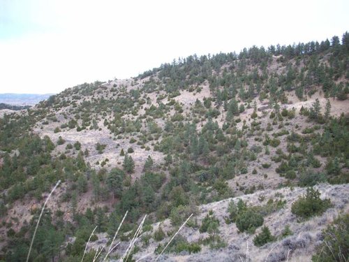 100_0160.jpg