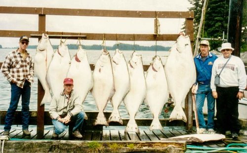 Halibut-1.jpg