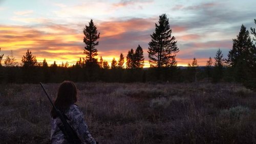 20161008_190248.jpg 20161008_190248.jpg