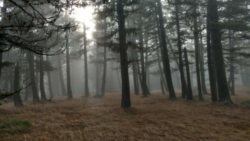 IMG_20161029_123524896_HDR.jpg IMG_20161029_123524896_HDR.jpg