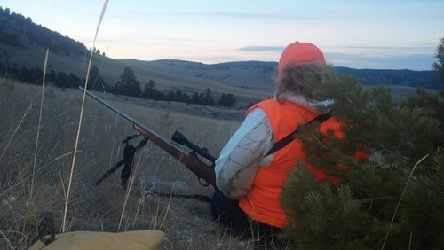 tar elk.jpg tar elk.jpg