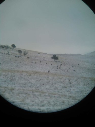 KIMG0372.jpg