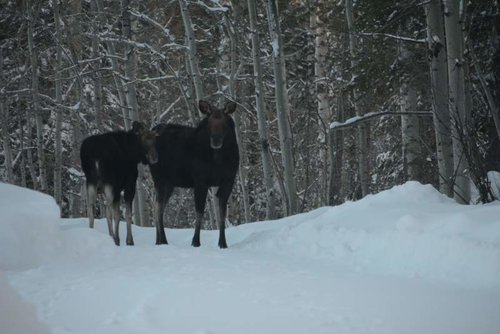 DSC_0125.jpg