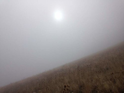 ABA3B4CB-8ECA-4C11-BDB7-3D490CC26CF8_zpsvqcrd4zn.jpg ABA3B4CB-8ECA-4C11-BDB7-3D490CC26CF8_zpsvqcrd4zn.jpg