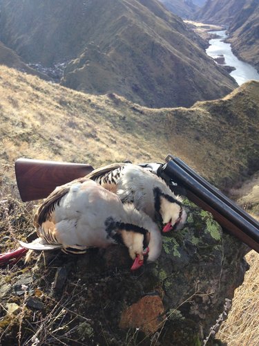 2D9F6B03-4F09-4317-957A-64EF5631E776_zpshowrv456.jpg 2D9F6B03-4F09-4317-957A-64EF5631E776_zpshowrv456.jpg