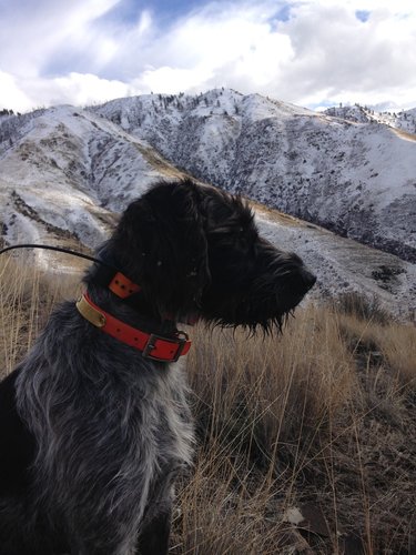 E93F0609-10D8-41AC-AE8F-F415135F598F_zps9sz9ildg.jpg E93F0609-10D8-41AC-AE8F-F415135F598F_zps9sz9ildg.jpg