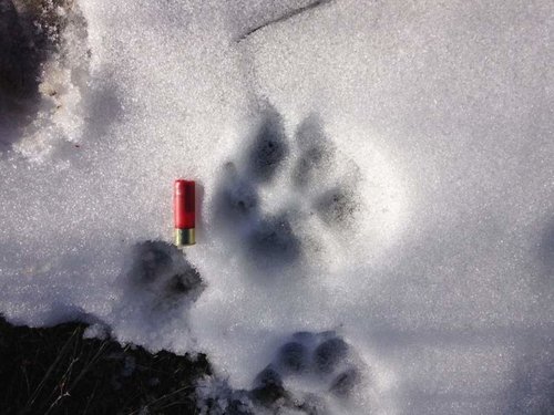 80A62027-3065-4A5A-8E0C-E07245989AD6_zps8nch24i5.jpg 80A62027-3065-4A5A-8E0C-E07245989AD6_zps8nch24i5.jpg