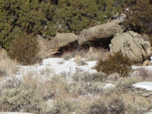 IMG_1270.JPG IMG_1270.JPG