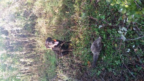 20161028_093827.jpg 20161028_093827.jpg