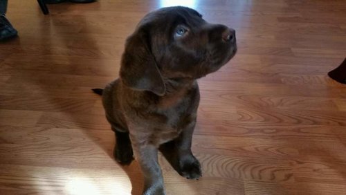 20151127_122945 (1).jpg