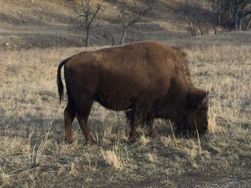 2016-02-10_225643172_1F054_iOS.jpg