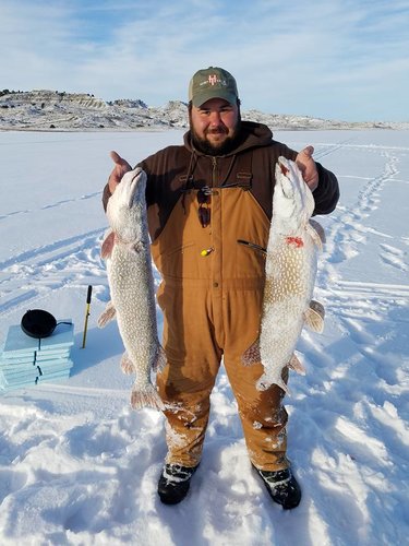 15965458_10158093545920553_6291402151120388449_n.jpg 15965458_10158093545920553_6291402151120388449_n.jpg