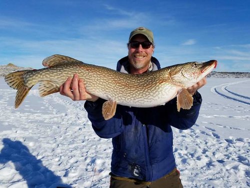 16002855_10158102891380553_7905426721784793208_n.jpg 16002855_10158102891380553_7905426721784793208_n.jpg