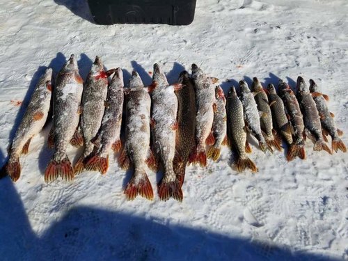 16105534_10158102891205553_3886017086454265229_n.jpg 16105534_10158102891205553_3886017086454265229_n.jpg