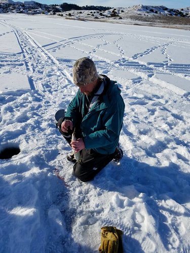 16114189_10158102891565553_2857925760935486549_n.jpg 16114189_10158102891565553_2857925760935486549_n.jpg