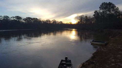 20170117_070603.jpg 20170117_070603.jpg