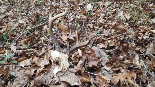 20170115_152904.jpg 20170115_152904.jpg