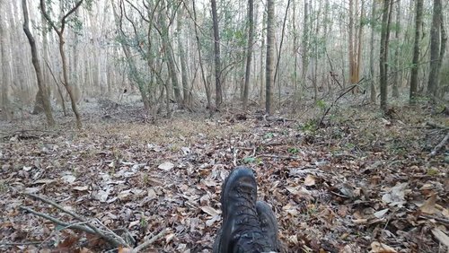 20170116_164708.jpg 20170116_164708.jpg