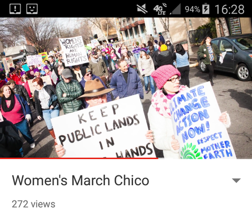 Women's March.png