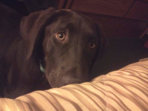 2013-05-10 17.37.40.jpg