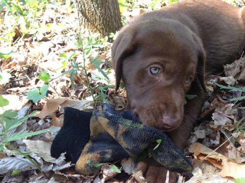 IMG_5759.jpg IMG_5759.jpg