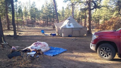 camp.jpg camp.jpg