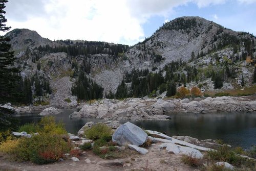 DSC_0216.jpg