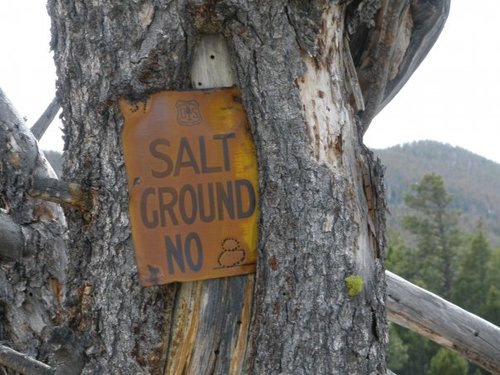 SaltGround.jpg