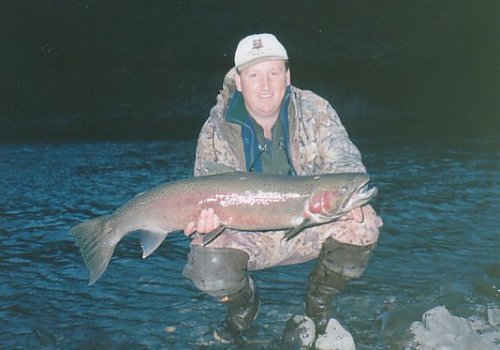 Idaho Steelhead