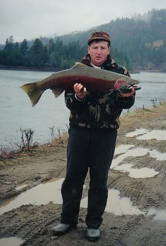 steelhead2.JPG steelhead2.JPG