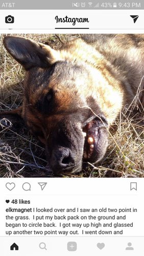 Screenshot_20170301-214348.jpg Screenshot_20170301-214348.jpg