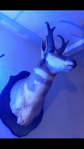 IMG_5021.jpg IMG_5021.jpg