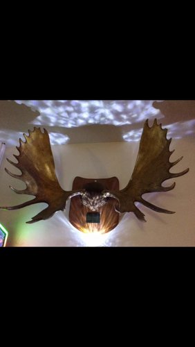 IMG_5014.jpg IMG_5014.jpg