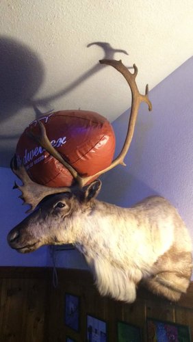 IMG_5018.jpg IMG_5018.jpg