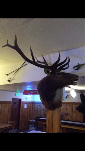 IMG_5022.jpg IMG_5022.jpg