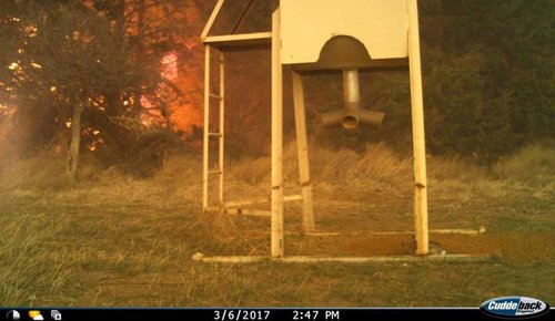 Fire1.jpg Fire1.jpg