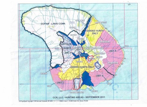 Lanai hunt map.jpg