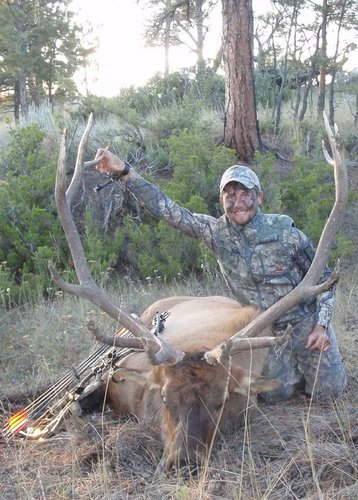2010 Bull Elk.jpg