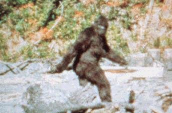bigfoot1.jpg bigfoot1.jpg