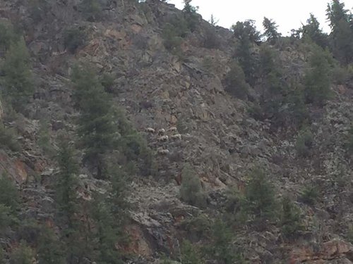 IMG_4194.jpg IMG_4194.jpg